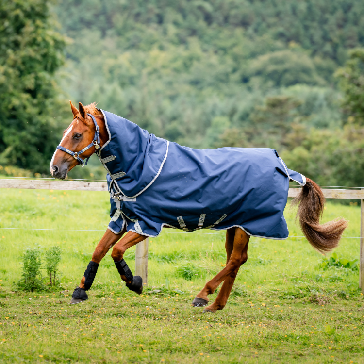 Couverture D'extérieur Horseware Amigo Bravo 12 Plus 0g MARINE/GRIS ORAGE/ARGENT