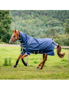 Horseware Amigo Bravo 12 Plus Rug 250grs navy 2