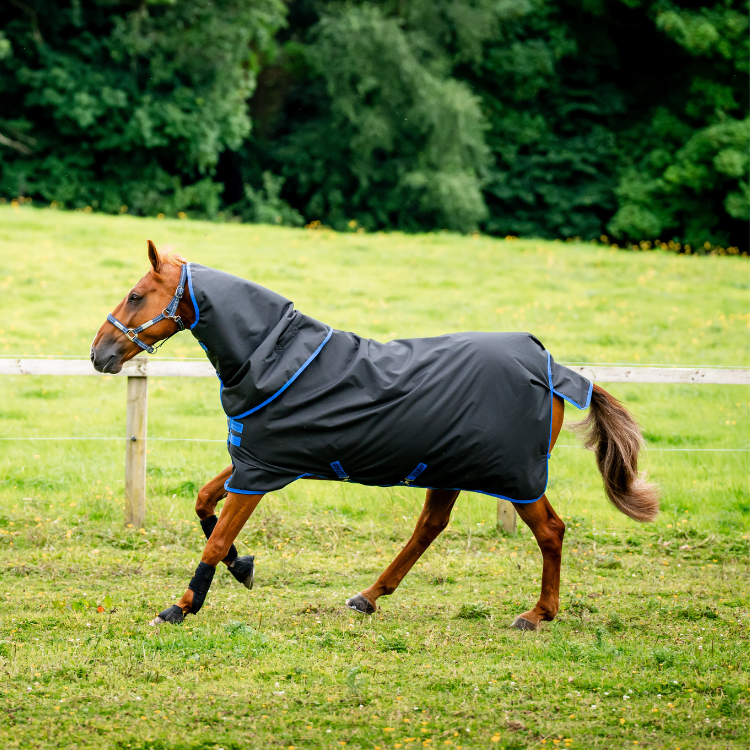 Couverture D'extérieur Horseware Amigo Ripstop Plus Turnout 0gr NOIR/BLEU CLASSIC