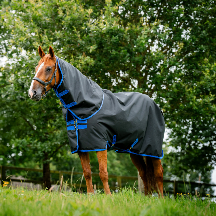 Couverture D'extérieur Horseware Amigo Ripstop Plus Turnout 0gr NOIR/BLEU CLASSIC