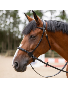 Bridon Jump'In Evolution Bitless  NOIR