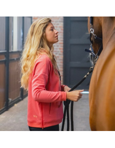 Sweat Horse Pilot Team CORAIL 2