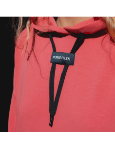 Sweat Horse Pilot Team CORAIL