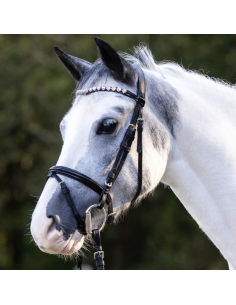 Bridle Waldhausen Happy Hearts 2