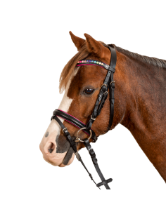 STAR Bridle Waldhausen Pinky