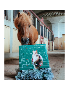 Natural'Innov Advent Calendar Natural'Christmas Gourmet 2025