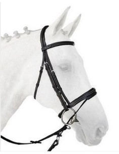 Têtière Silver Crown Arezzo