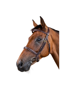 Bridle Dy'on Braided noseband Gold buckle 2