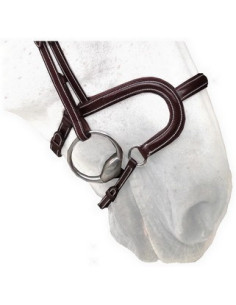 Muserolle Silver Crown H Classique châtaigne