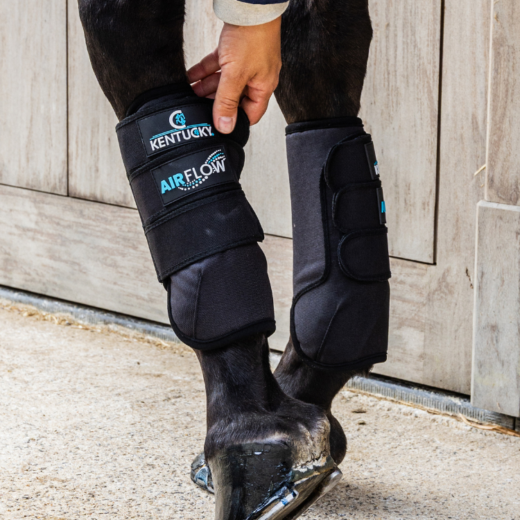 Guêtres de Cross Kentucky 3D Air Flow Skin-Friendly Antérieurs noir