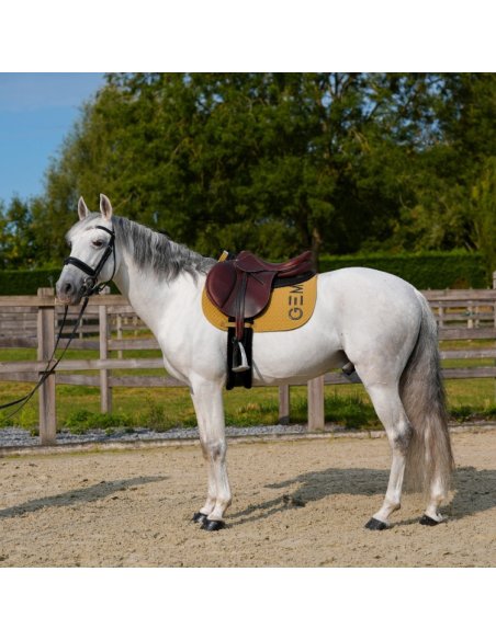 Tapis De Selle GEM Ten Obstacle Epice