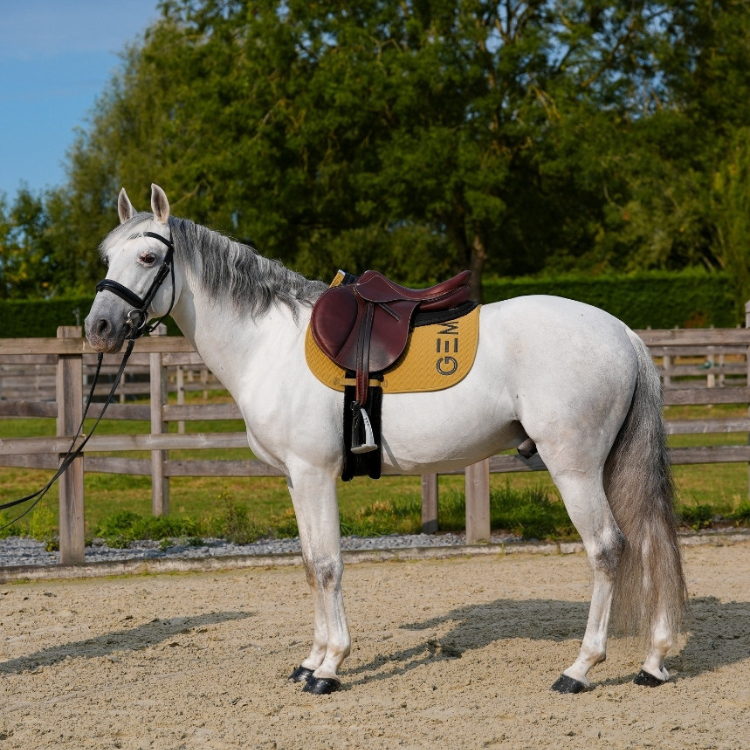 Tapis De Selle GEM Ten Obstacle Epice