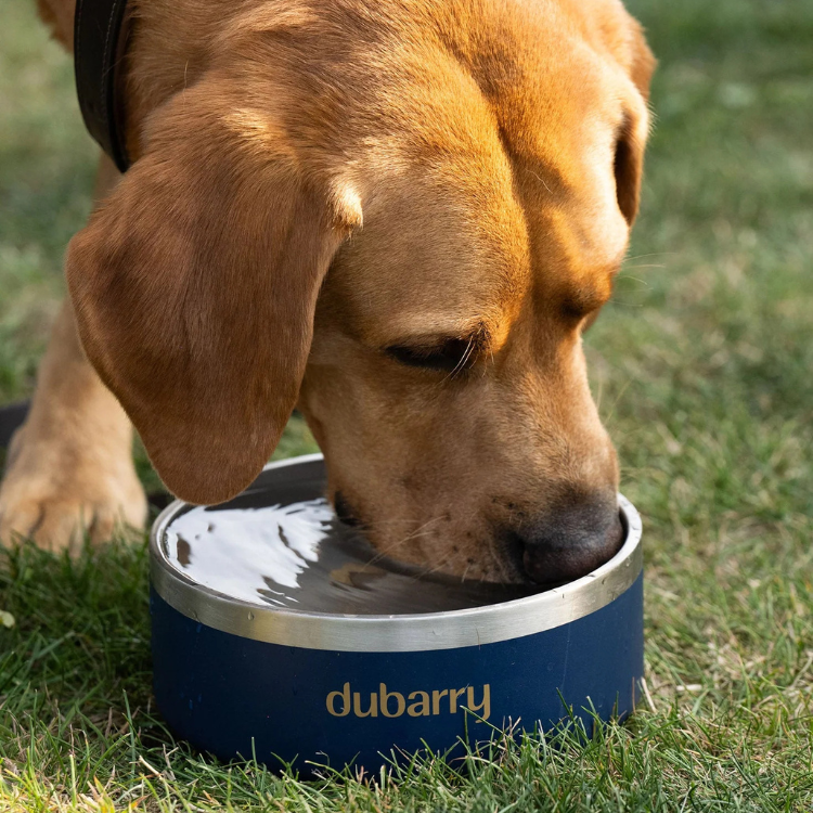 Gamelle Dubarry Archie MARINE