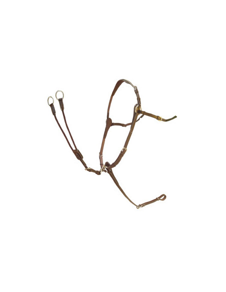 Collier de chasse Silver Crown 3 Points cognac