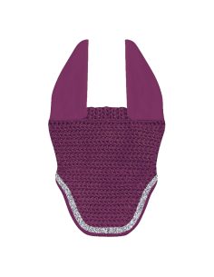 Earnet GEM Ten Short 2