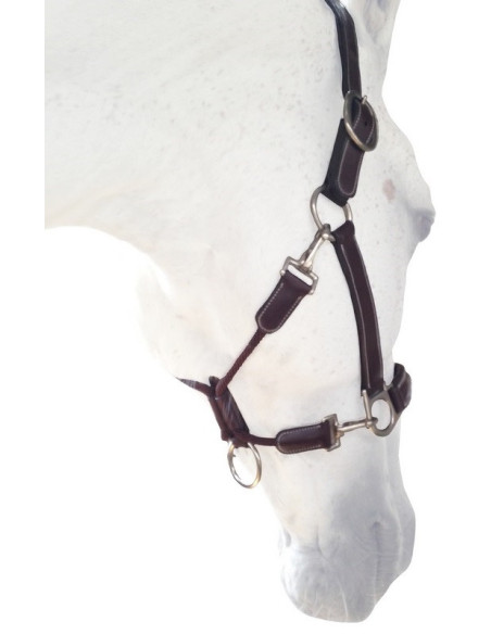 Licol Silver Crown Grooming châtaigne/châtaigne