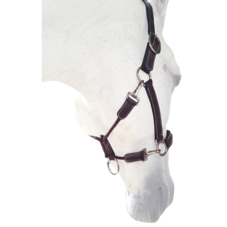 Licol Silver Crown Grooming châtaigne/châtaigne