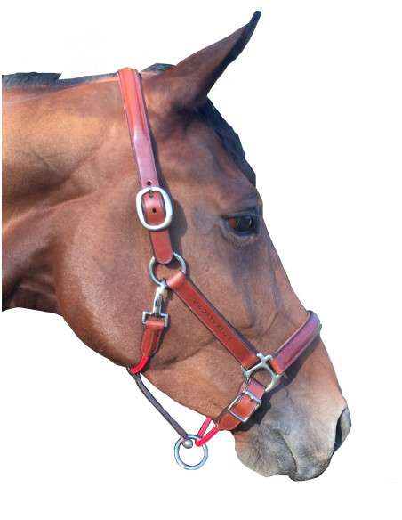 Licol Silver Crown Classique cognac/rouge