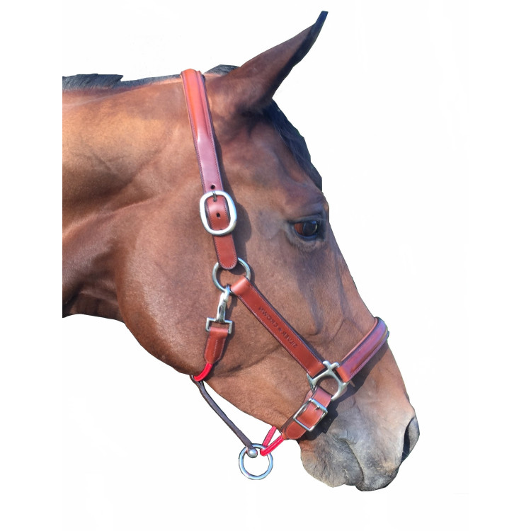 Licol Silver Crown Classique cognac/rouge