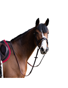 Bridon Jump'In Evolution Muserolle Combinée HAVANE