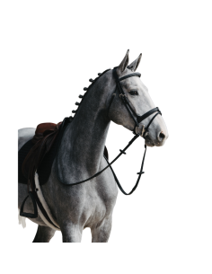 Bridon Jump'In Evolution Muserolle Combinée HAVANE 2