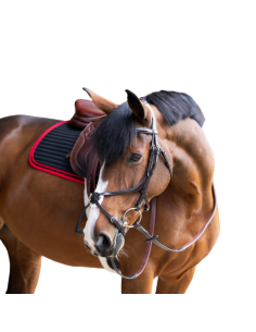 Bridon Jump'In Evolution Muserolle Croisée HAVANE