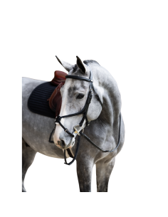 Bridon Jump'In Evolution Muserolle Croisée HAVANE 2