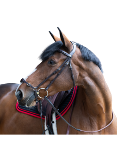 Bridon Jump'in Evolution Muserolle Allemande HAVANE