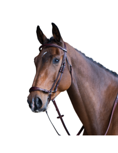 Bridon Jump'in Evolution Muserolle Allemande HAVANE 2