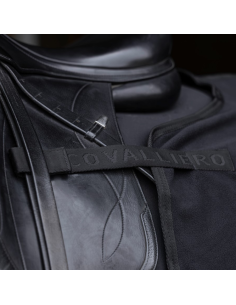 Covalliero Kidney Cover 2