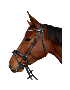 Flags & Cup Geneva Bridle