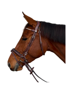 Flags & Cup Geneva Bridle 2