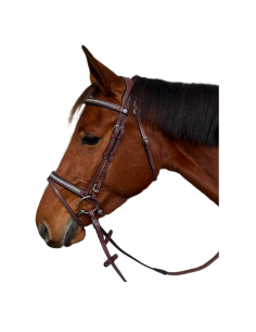 Bridon Flags & Cup Aachen 2