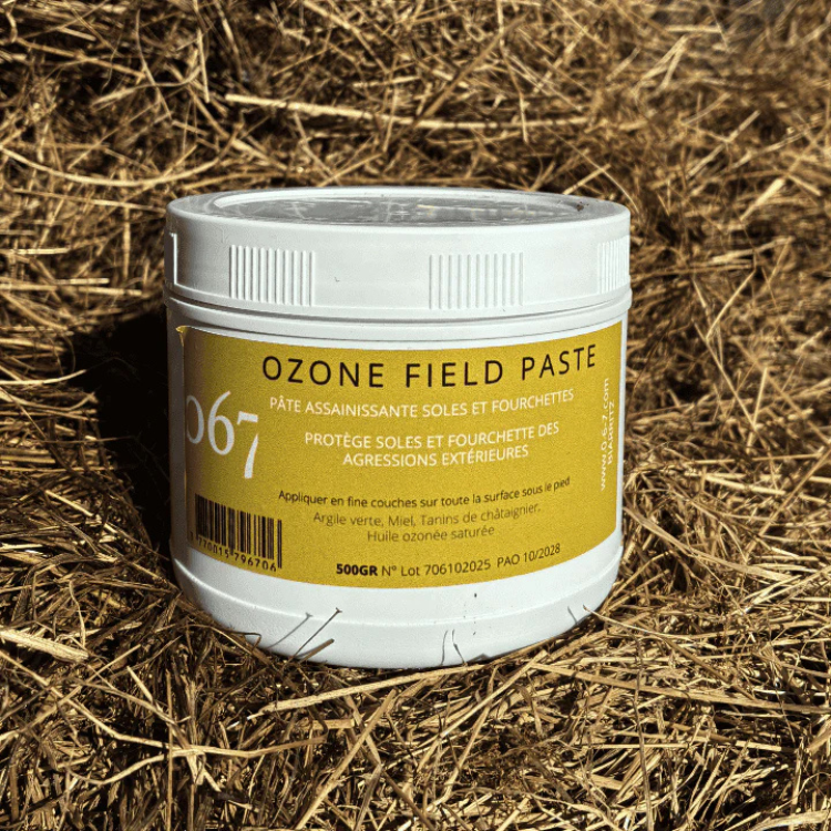 Pâte Ozone 067 Assainissante Field Paste