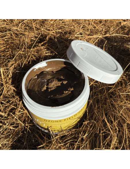 Pâte Ozone 067 Assainissante Field Paste