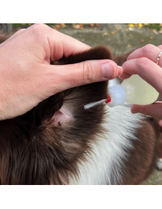 Soin Ozone 067 Essentiel 2