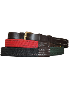 Chetak Schooling Reins