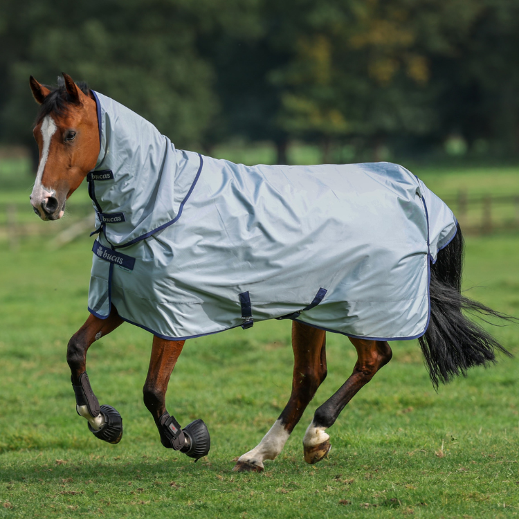 Housse de couette 1 personne cheval | Used - like new | €5.00 | Obermodern, Alsace