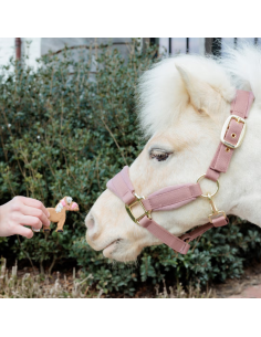 Grooming Deluxe Sammy Treat 2