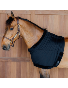 Protège Poitrail Kentucky 2