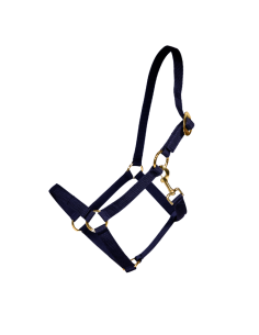 Licol Kentucky Nylon NOIR 2