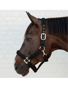 Kentucky 3D Mesh Halter 2