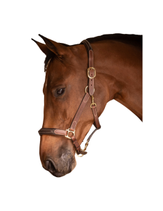 Leather Paddock Halter with 3 snap hooks