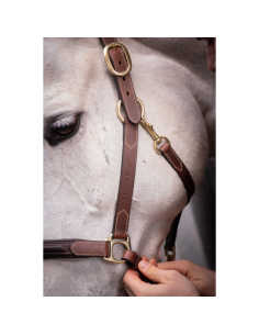 Leather Paddock Halter with 3 snap hooks 2