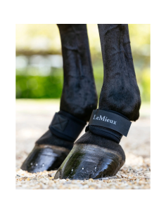LeMieux Neoprene Tator-Guards 2