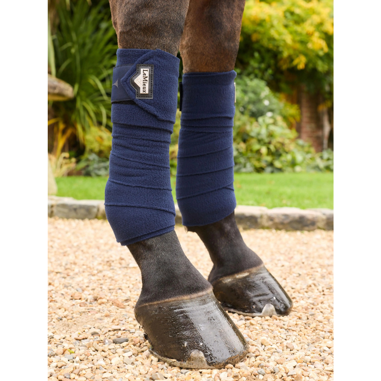 Bandes De Polo LeMieux Elevate MARINE