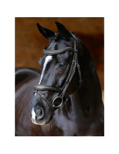 Bridon LeMieux Flash Contour Kudos NOIR 2