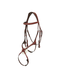 Bridle LeMieux Grackle 2