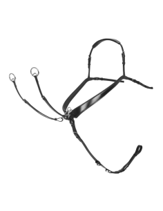 Collier De Chasse LeMieux Kudos A Pont NOIR