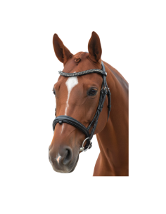 Bridon Canter Totilas Dressage NOIR